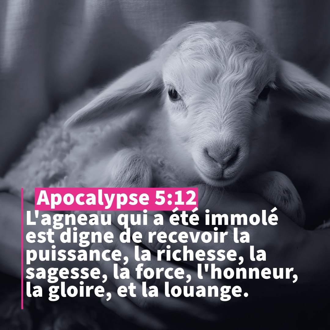 l'agneau-de-Dieu-Evangiledelapaix